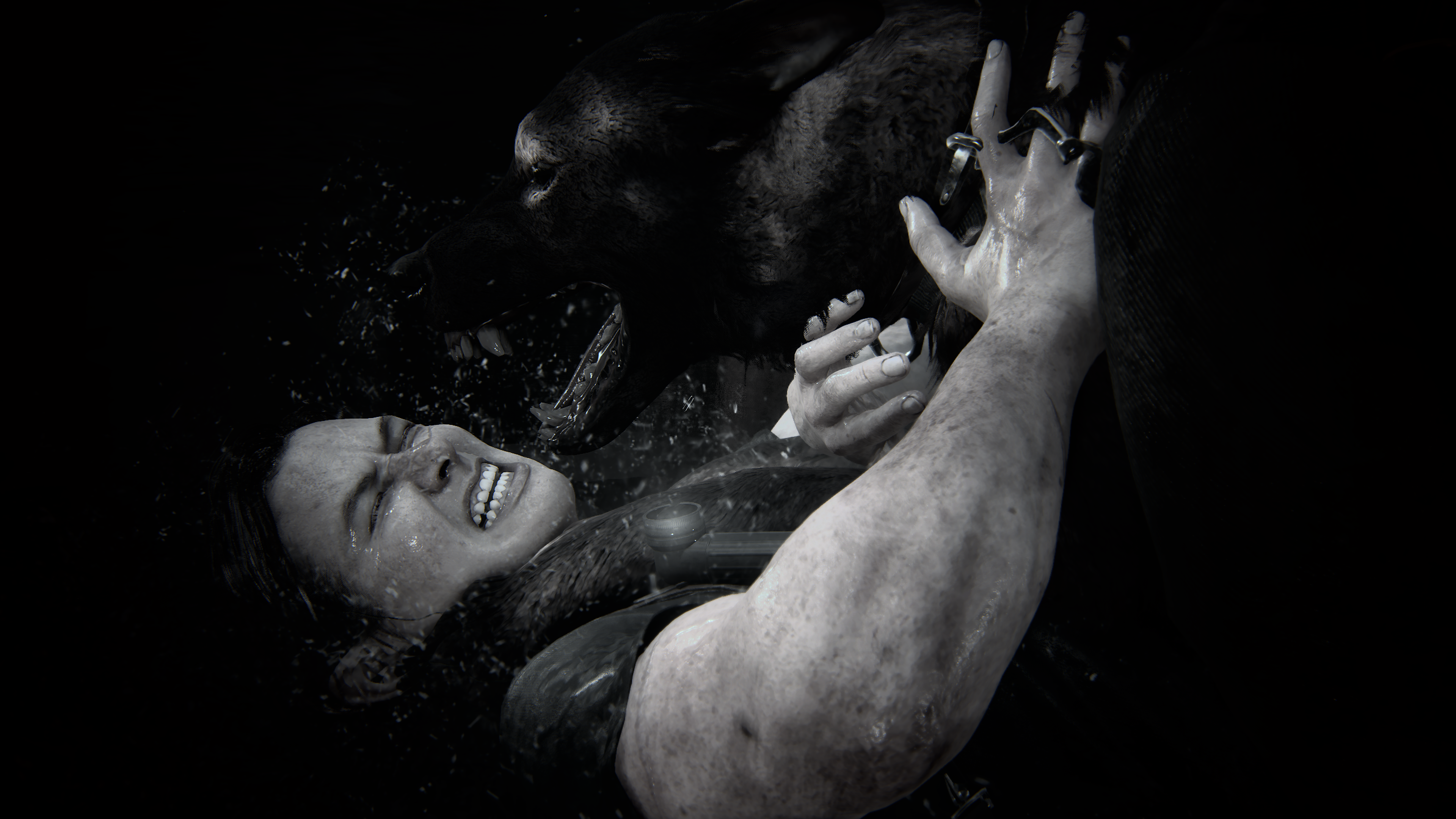 The-Last-of-Us-Part-II-Remastered-20250824020125.png