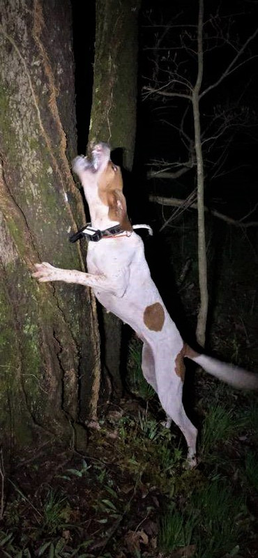 Resized_IMG_4697 (1)