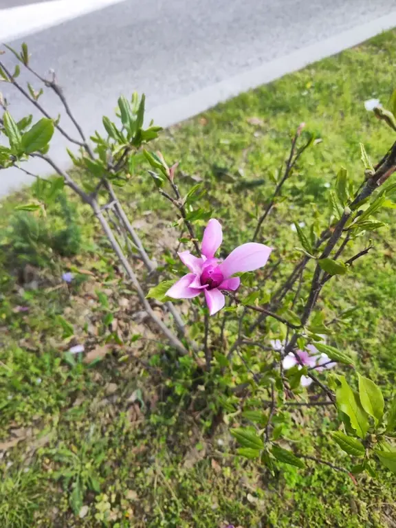 Большая весенняя Босния, март-апрель 2025. Большая весенняя Босния, март-апрель 2025.