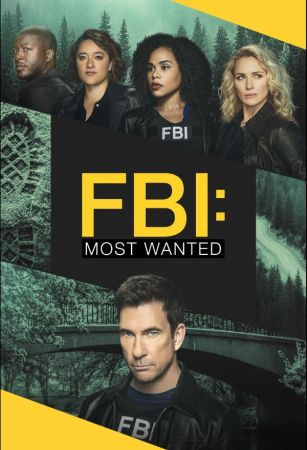 FBI Most Wanted S05E06 720p HDTV x264-TBS