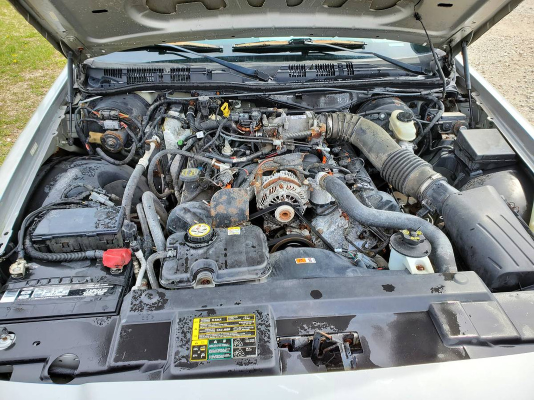 00V0V_fTkE9Dl5elI_1200x900