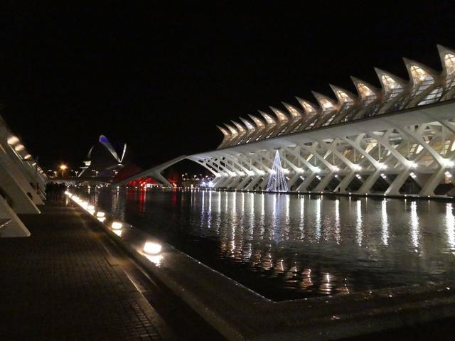 VALENCIA en un fin de semana - Blogs de España - Sábado 30/12: Llegada a Valencia y visita al Oceanogràfic (32)