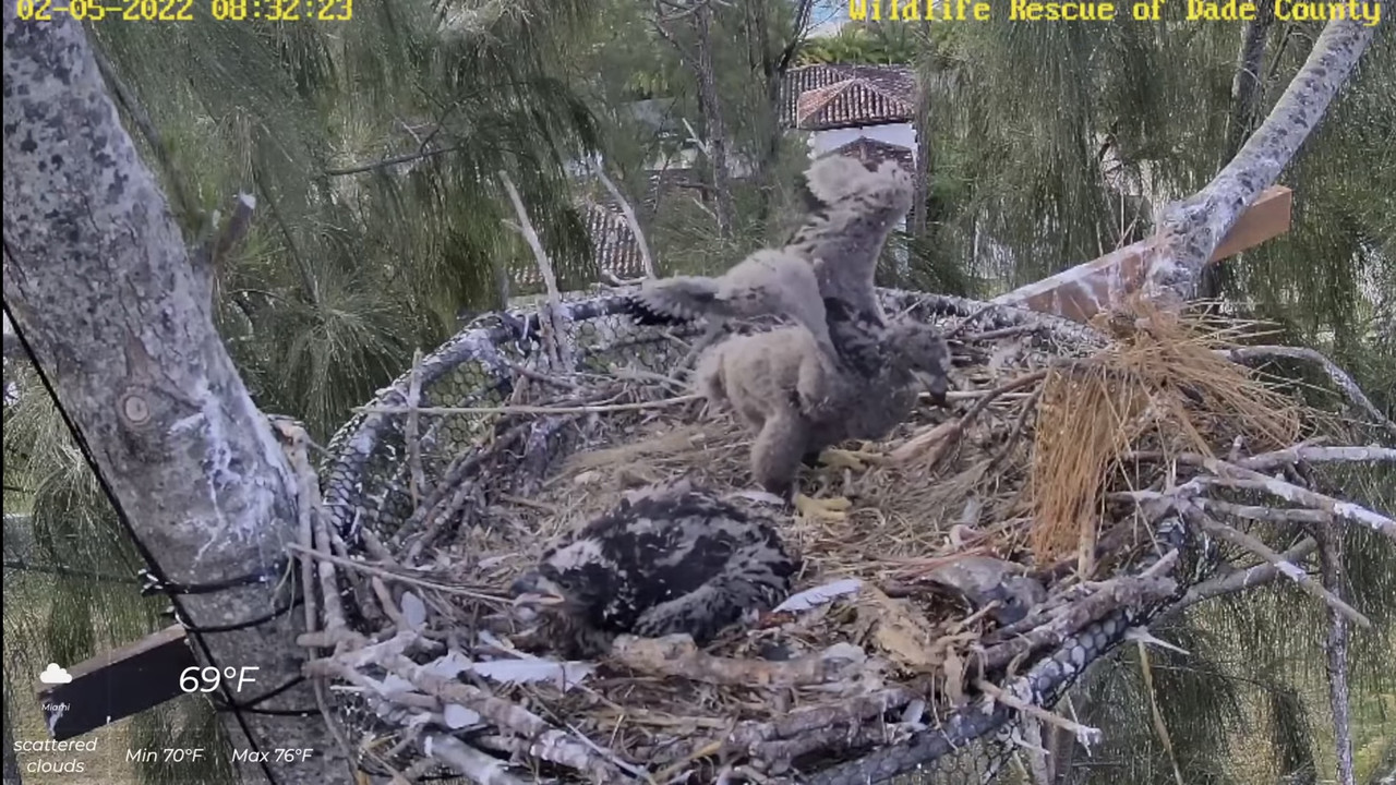 9E3BBD3E-FB82-45E4-A822-DD32A501D7BE