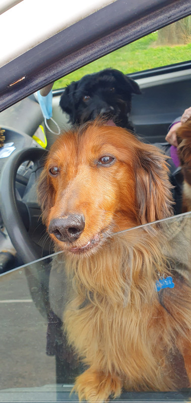 [Image: 20230329-165606.jpg]