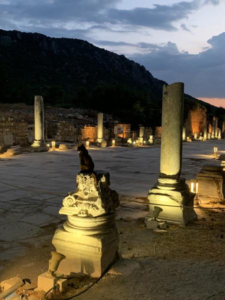 Turquía: Esmirna, Efeso, Pamukkale, Sardes y Foça - Blogs de Turquia - Efeso (11)
