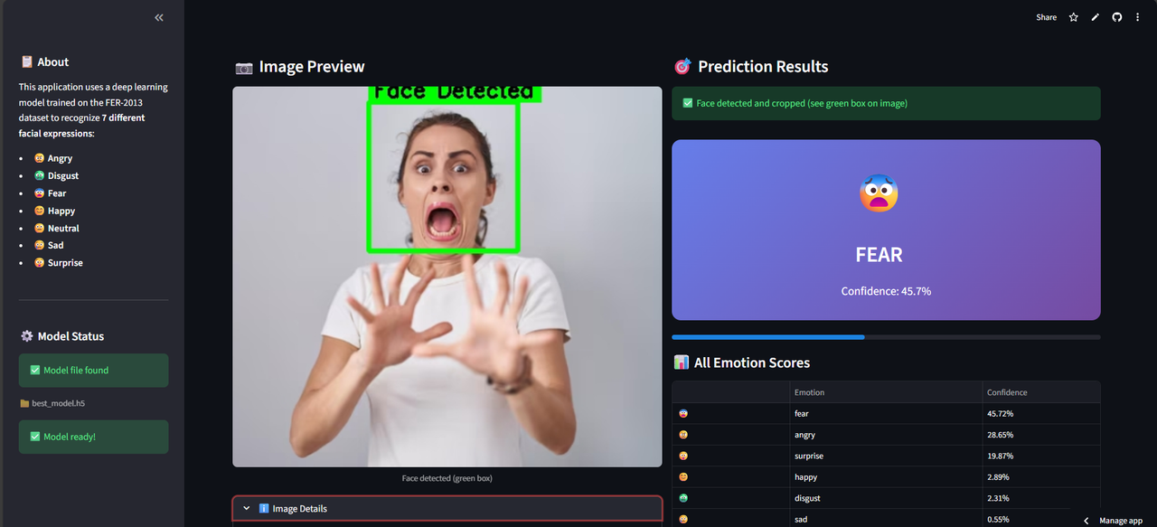 Facial Expression Recognition feature 5 screenshot - AI/ML/NLP project