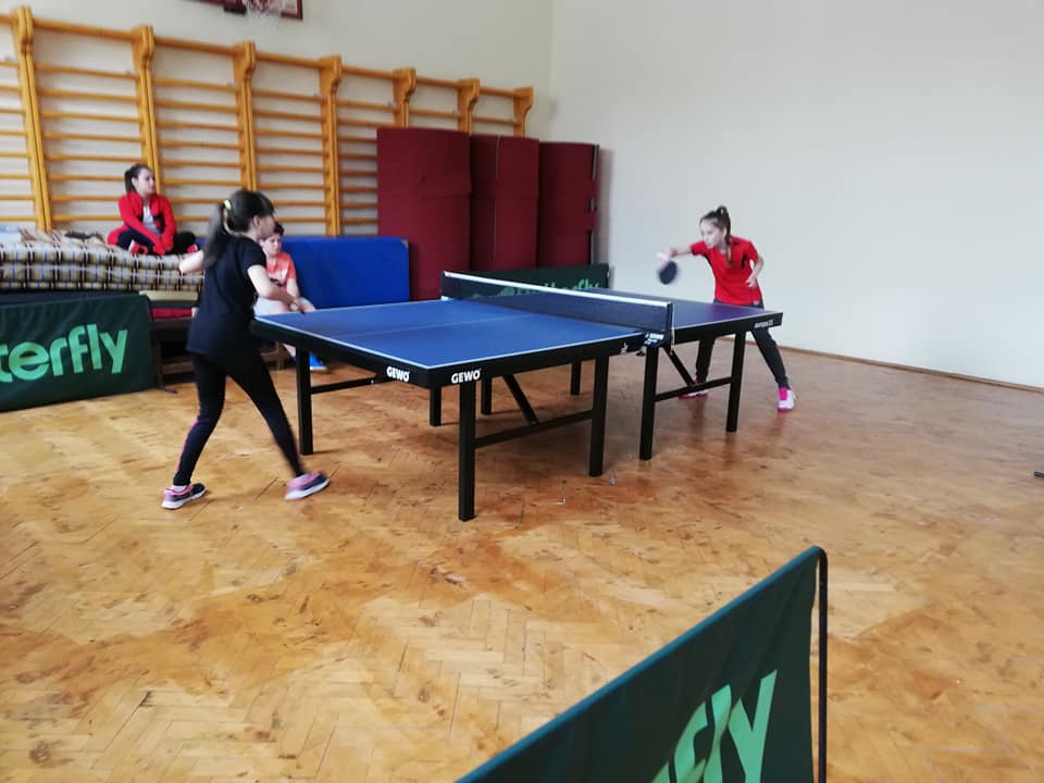 56377177_1269708509859786_7140606558093705216_n