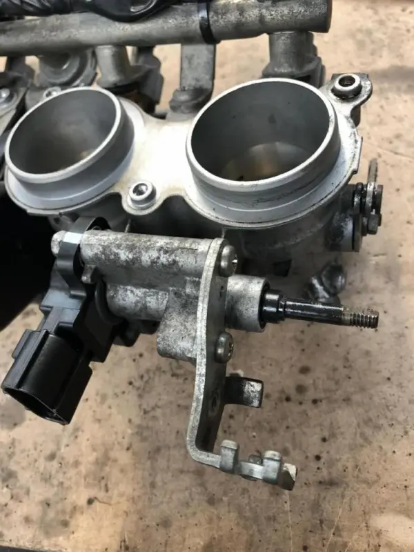 E8B44F7F-41F8-4DD8-B441-2006C01DDD03_1549135639574