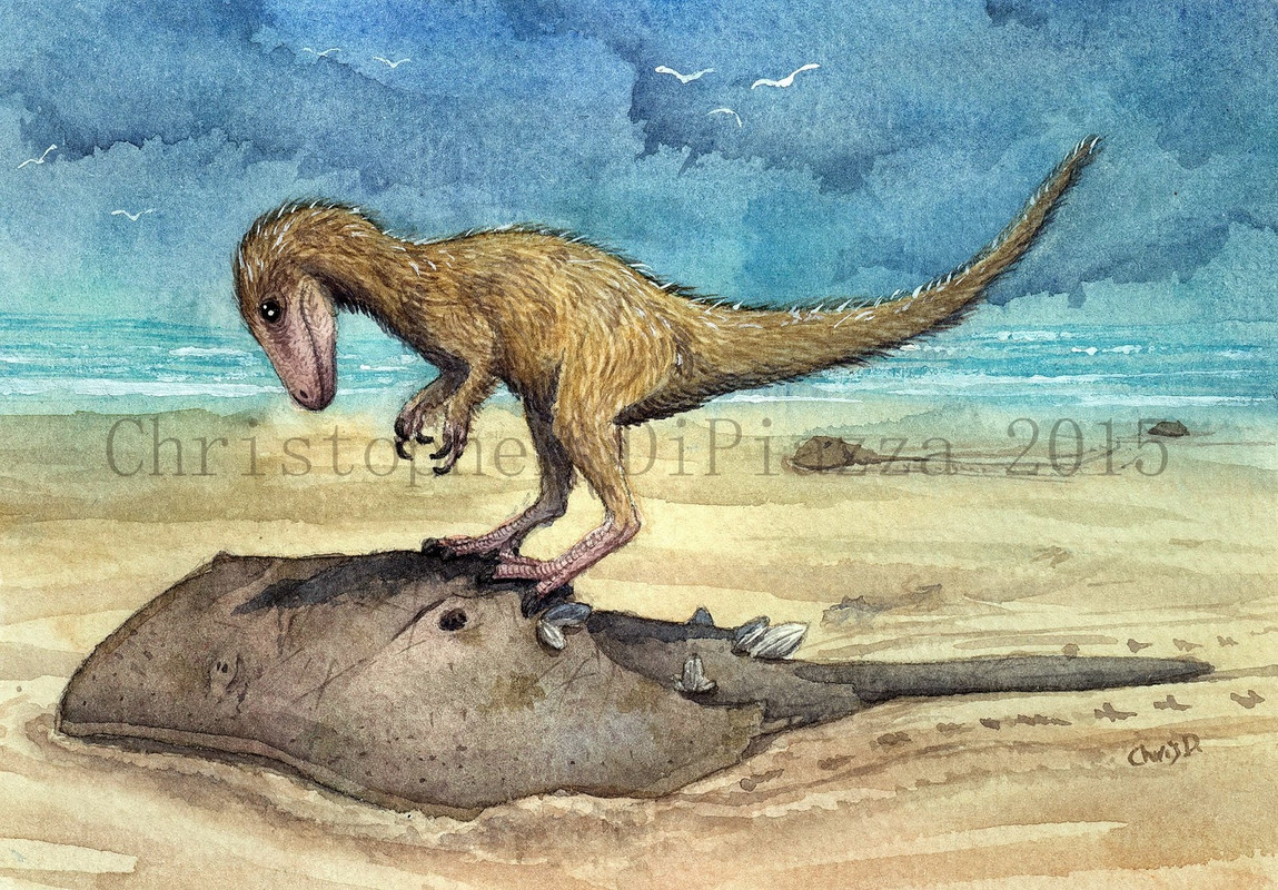 Dryptosaurus baby (wm)