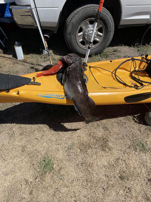 W2PuGcrLRx6EYgJXGTGEdw