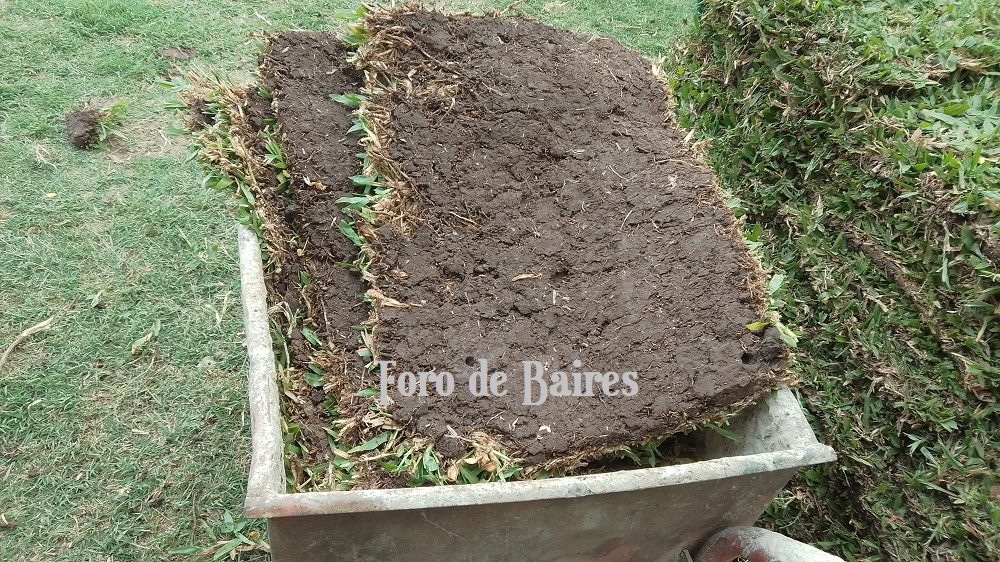 fotopalermoparqueferroviarioarreglos3