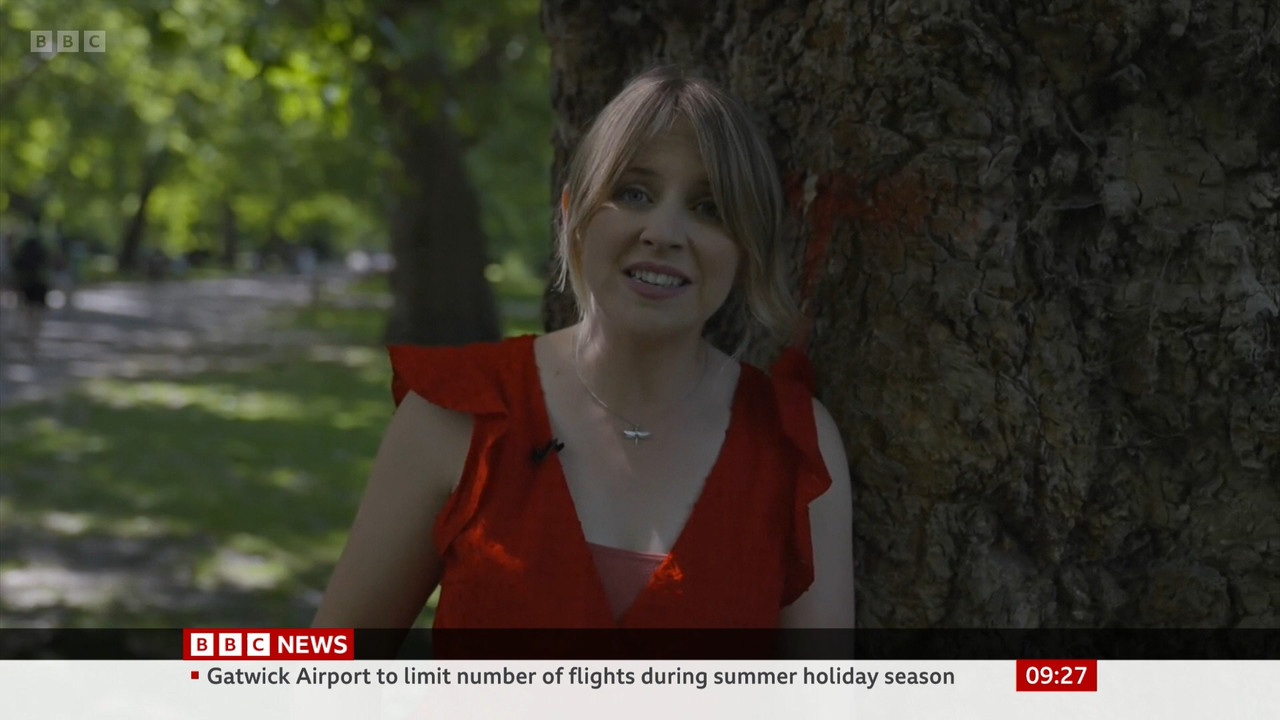 BBC_News_BBC_News_at_9_-_2022-06-17_m0018ccd_original.mp4_snapshot_27.19.680