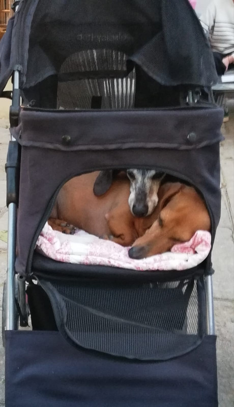 [Image: Pilou-Nella-mai2024.jpg]