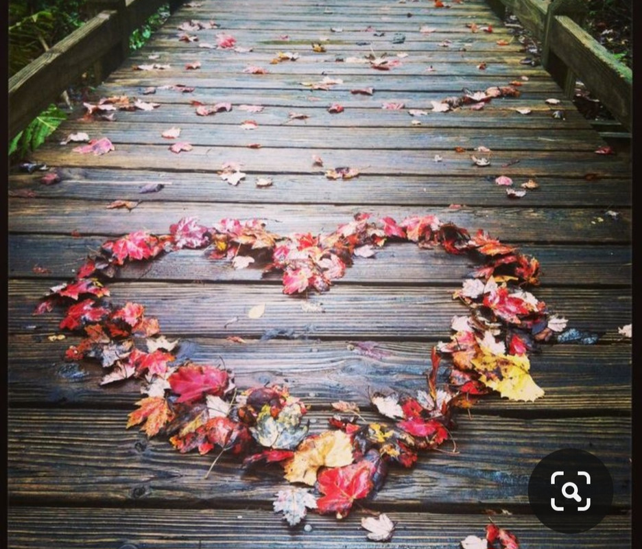 Screenshot_20231128_001421_Pinterest