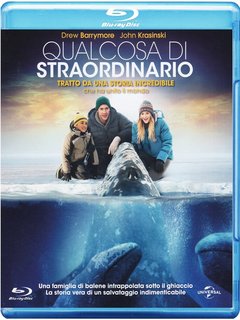 Qualcosa di straordinario (2012) .mkv FullHD 1080p HEVC x265 AC3 ITA-ENG