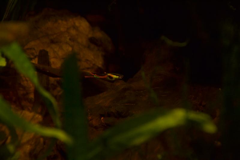 DSC_0111 (2) (Custom)