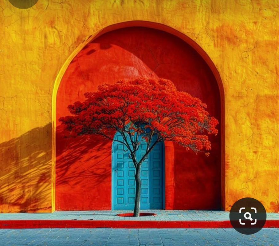 Screenshot_20240509_201742_Pinterest