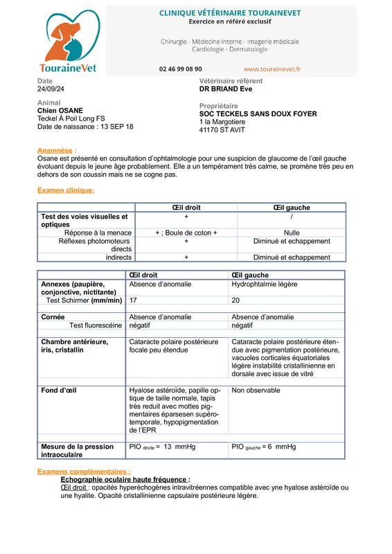 [Image: 240924151952-CR-OPHTALMO-CONSULTATION-Te...-foyer.png]