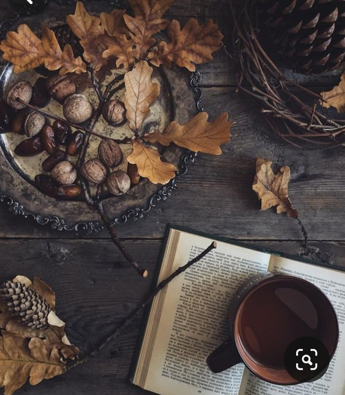 Screenshot_20230909_233526_Pinterest