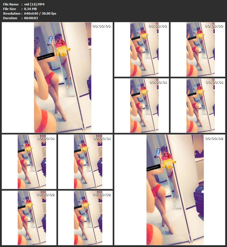 vid (12).MP4