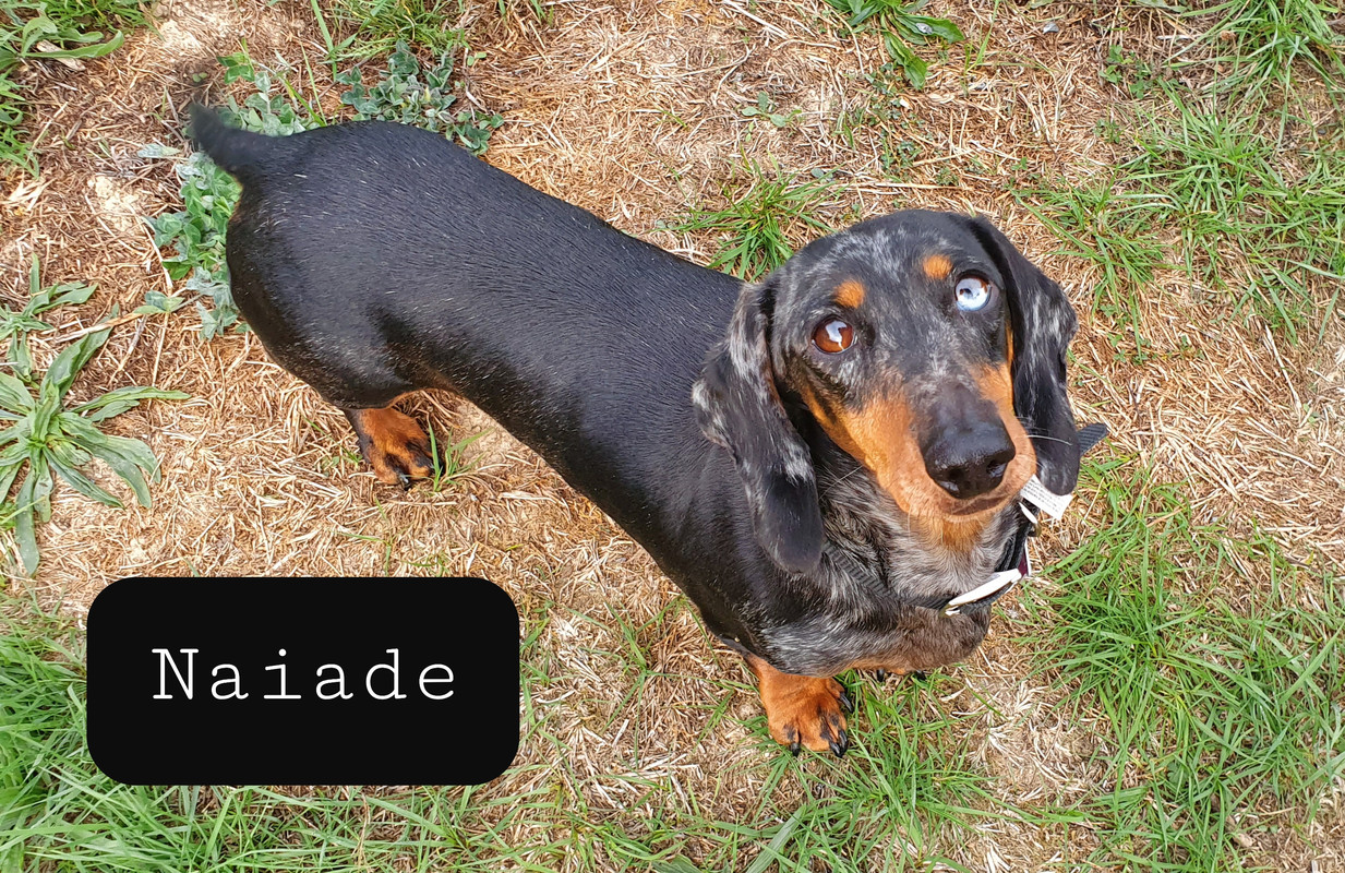 [Image: 20220929-150041.jpg]