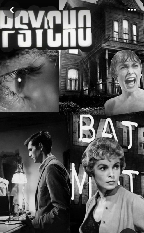 Screenshot_20240215_201024_Pinterest