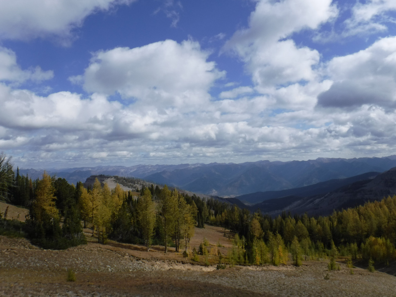 DSCF0068