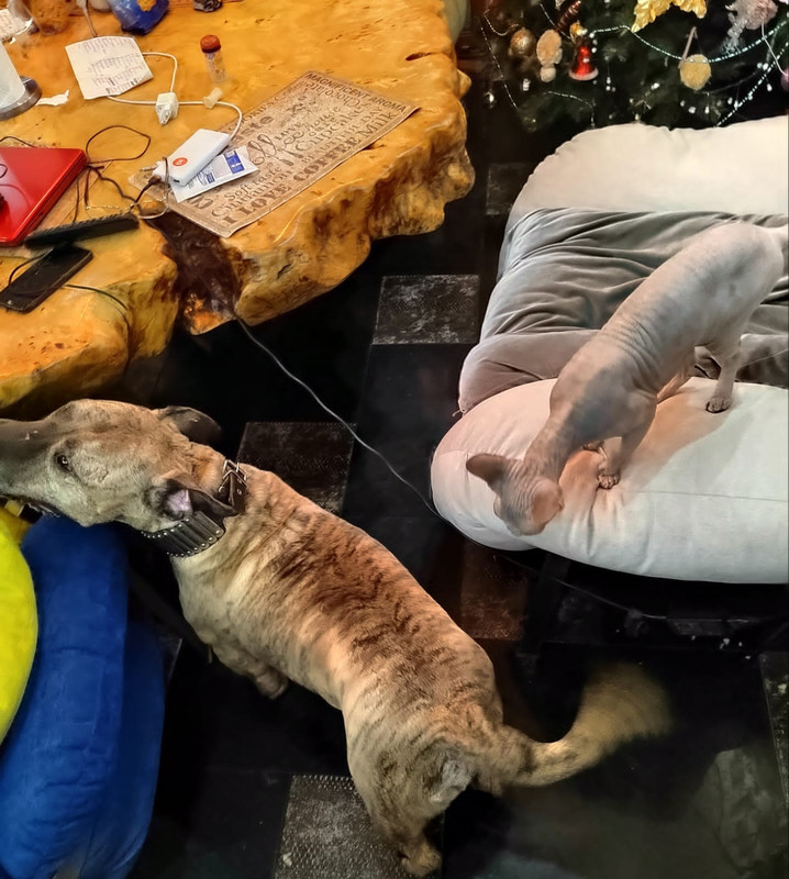 C6E9690D-74D0-4E27-AD3F-A5EEEFC98EB9