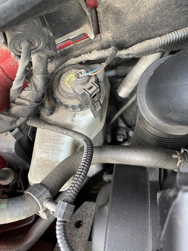 71D72528-84A1-481A-990E-D69D23241394