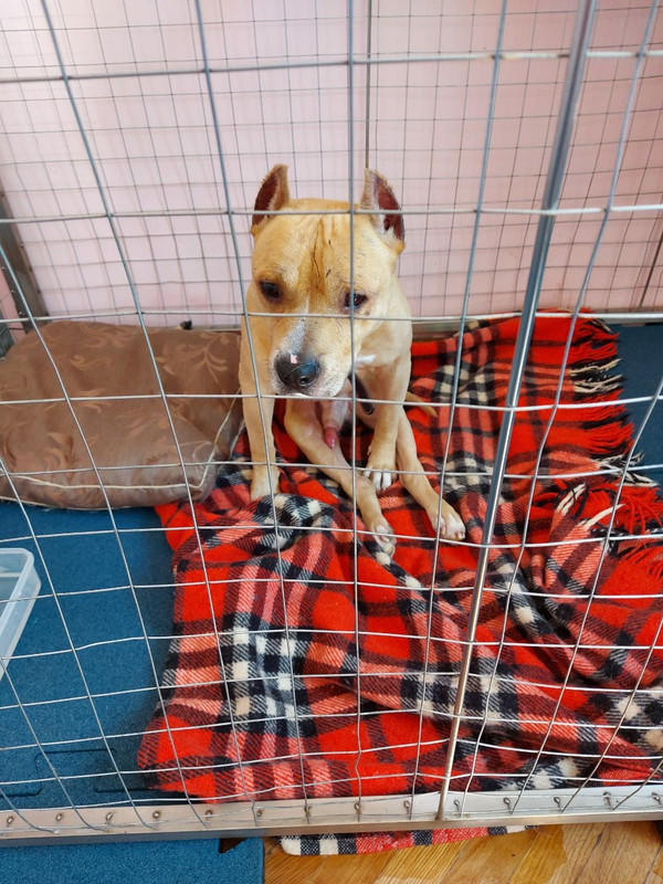 1AAACE81-6460-4787-90DC-B4983A07E038