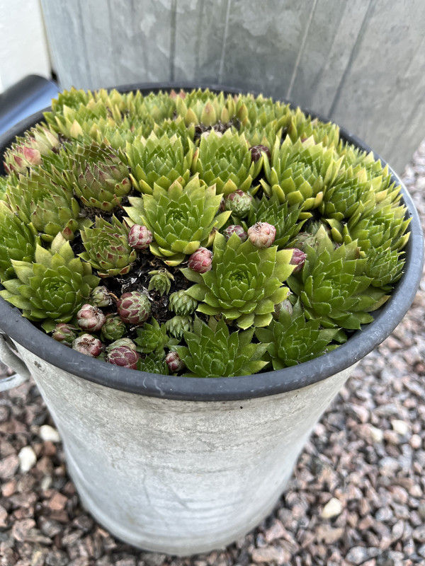 F9A5C5B6-E37C-47DD-BF20-8B00AA20C9D8