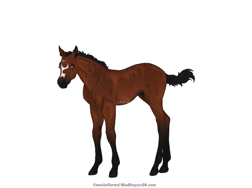 A22-D5-CEF-0080-4645-81-F0-F961-DEFCCFD9.png