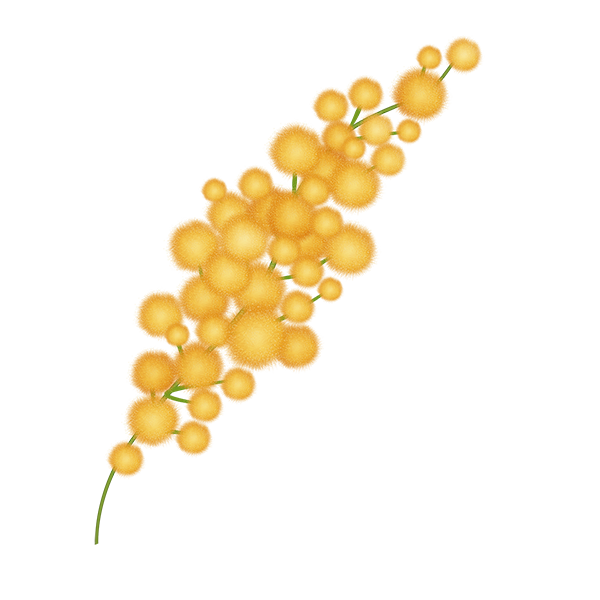 KBK_BunnyTrail (105)