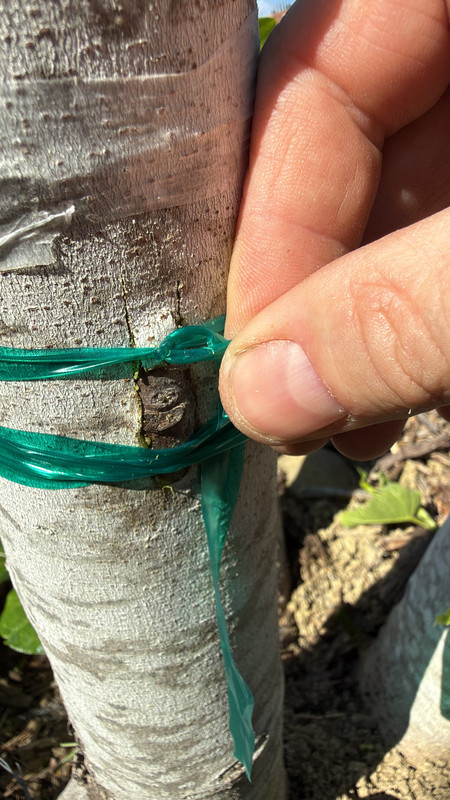 4F65F1F5 B4C8 46CD 9A7E CE69C95897F8