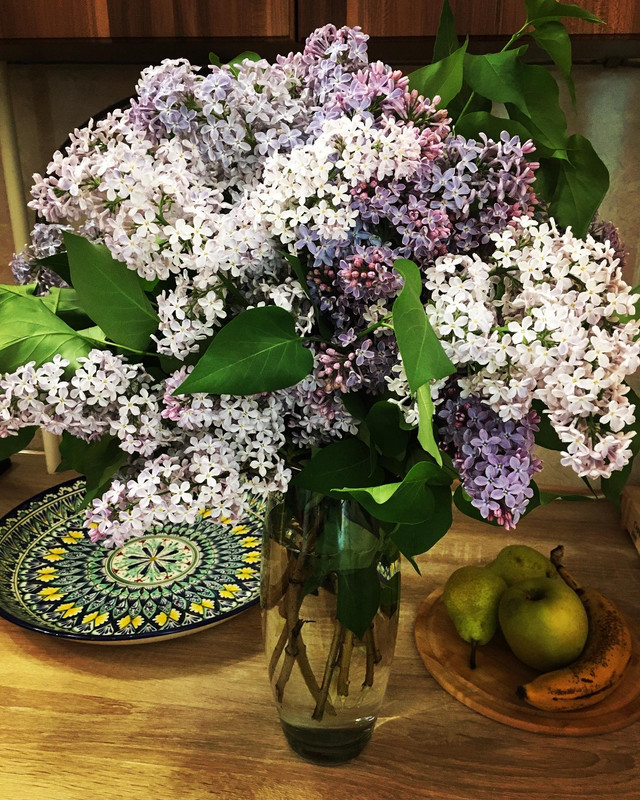 0B7D208B-2275-42CC-BB39-EDEC182D48F8