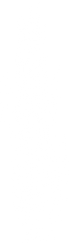 Lace5