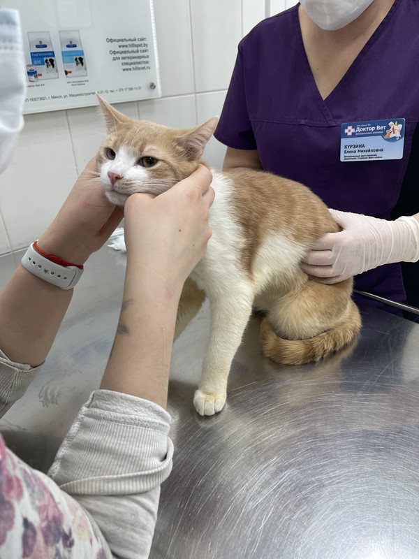 D8595C7D-E790-41C4-A488-C8FA4C1114FC