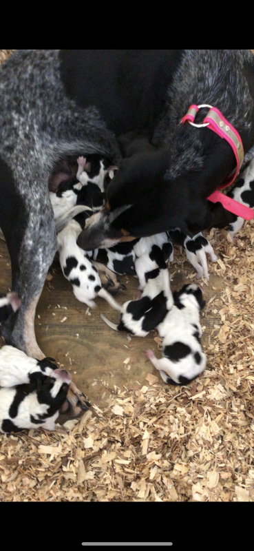 DD1FB818-1957-4287-98A7-061965C5C0EB