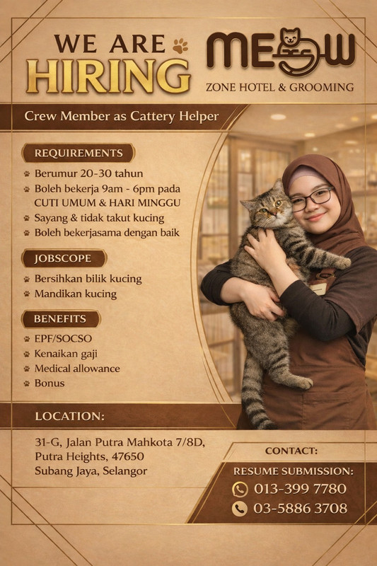 Career Opportunities at Meow Zone