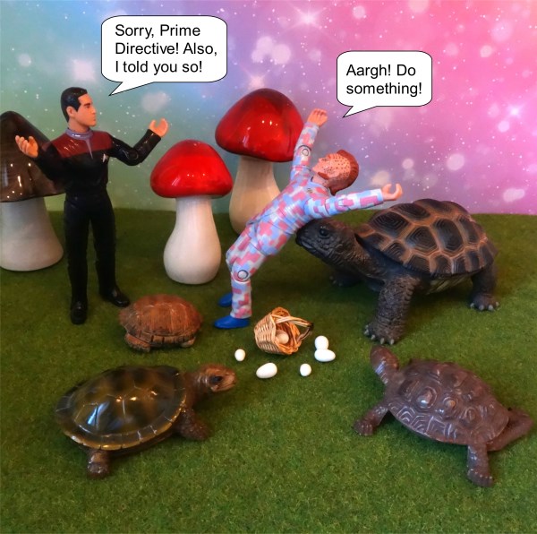 Turtles3-IG