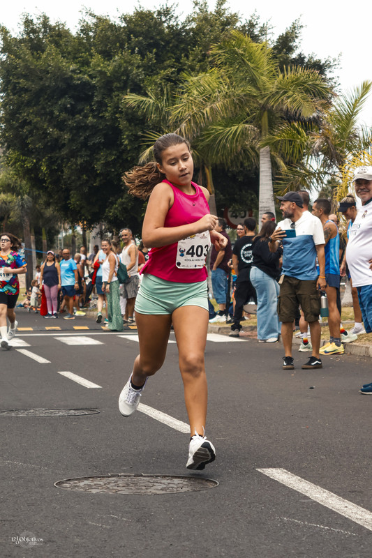 Canary-Run 121