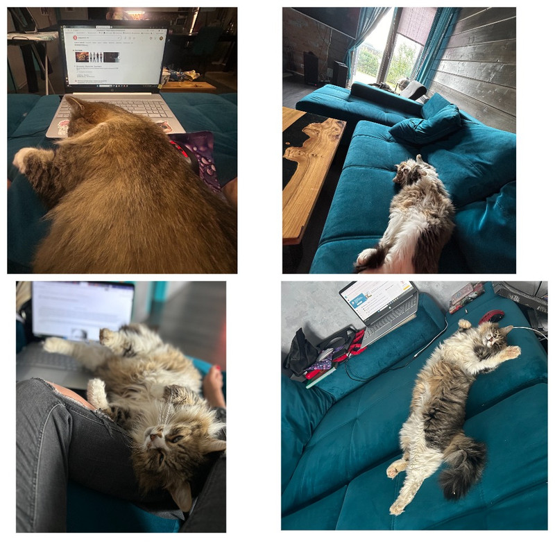 MyCollages - 2025-10-21T091812.458