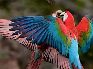 45617351-752265025107552-4711047269321801728-n