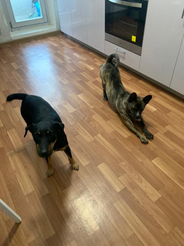 F7084781-655C-4C6D-9332-6C037695B7EA