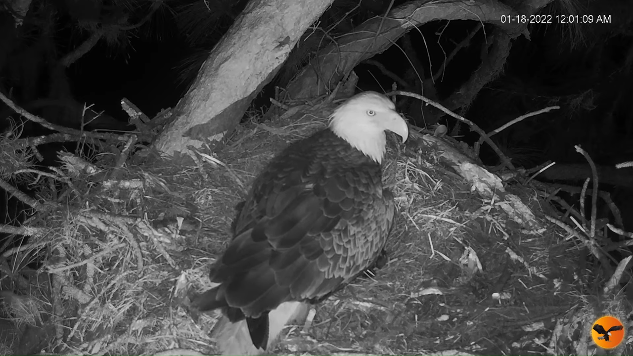 EC 4K Overhead Cam 9-9-7 screenshot