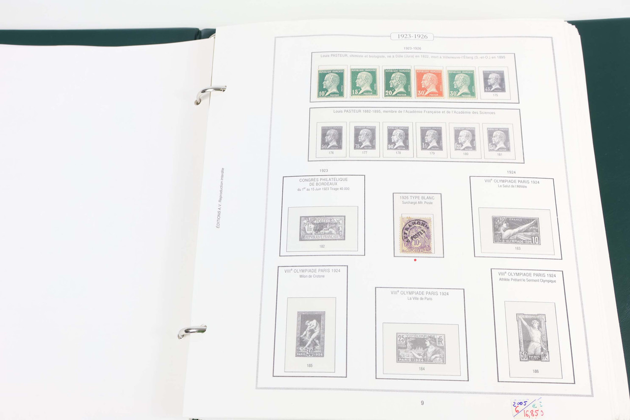 IMG 5595