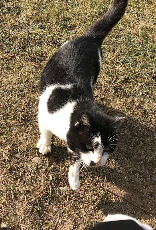 34AC546B-7EB2-425B-9502-B5D0D35D2CB9