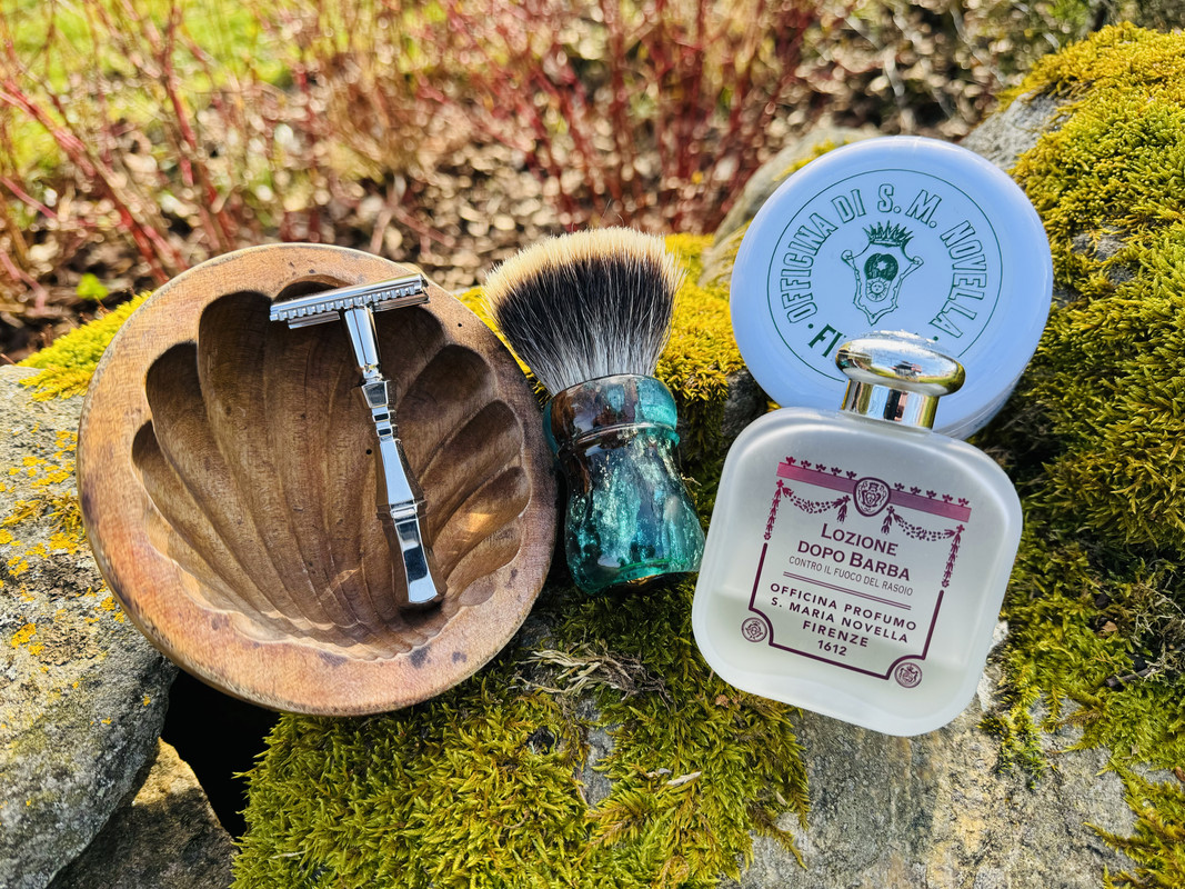 SOTD-20240309.jpg