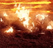 IMG-1049.gif