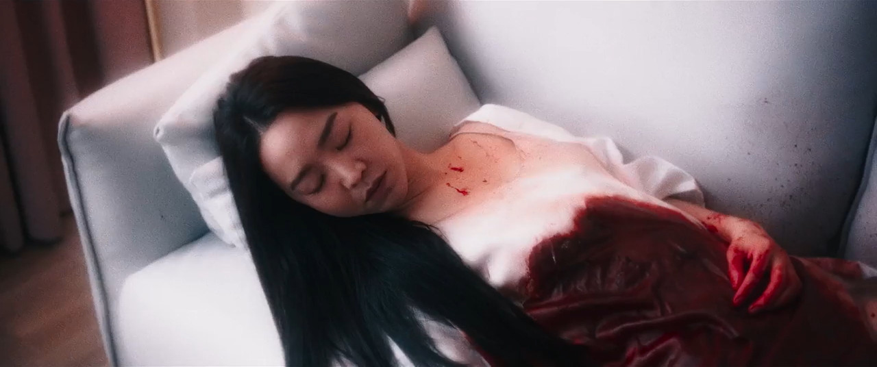 Following 2024 WebRip [Hindi + Korean] 480p 720p ESub Screenshot